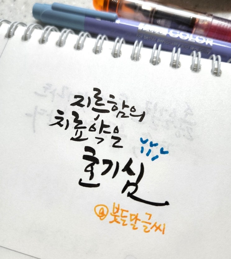  지루함의 치료약은 호기심!!