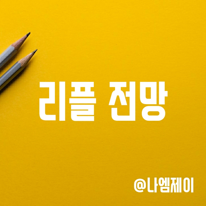 리플 전망 (XRP 코인) - 소송 일정 업데이트 리플 전망 (XRP 코인) - 소송 일정 업데이트