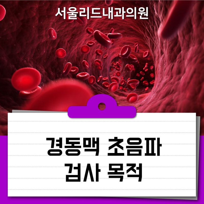 [성남 내과] 급성 심근경색 5