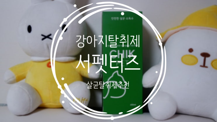  강아지오줌냄새 서펫터즈 탈취제 사용으로 해결!