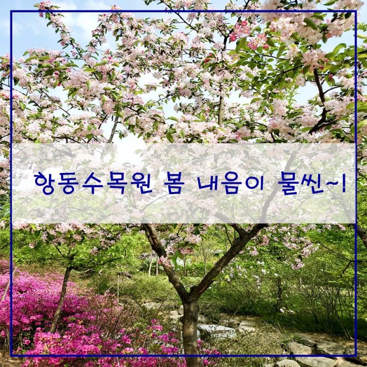  항동수목원 봄 내음이 물씬~!