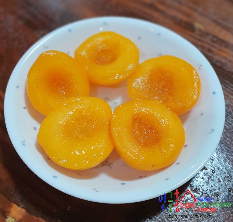  필리핀 유학 성공의 관건은 방과 후 학습 관리입니다!