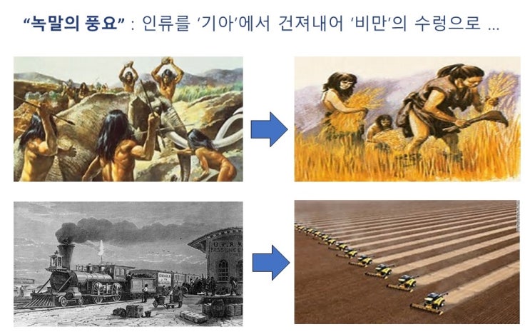  비만율 증가의 진짜 원인, 녹말의 풍요