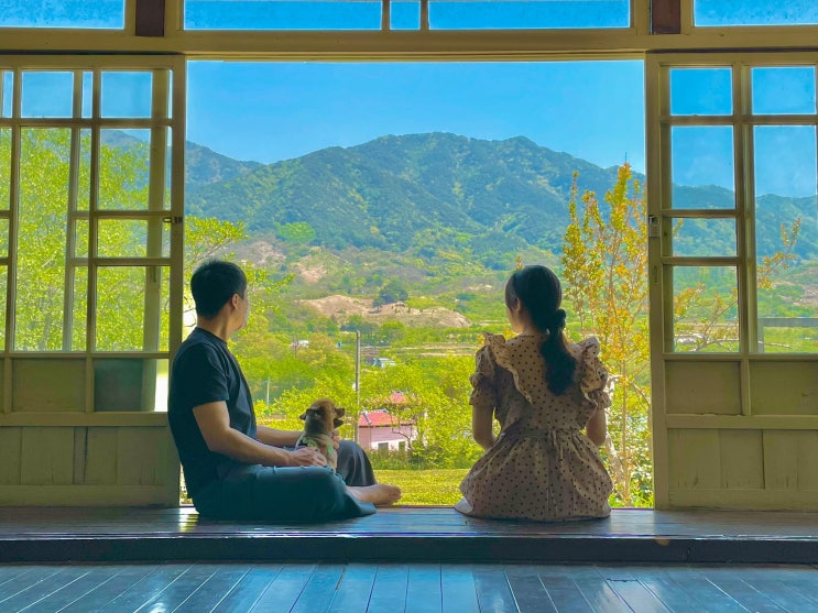  [하동여행] 반려견동반, 하동 매암제다원 방문