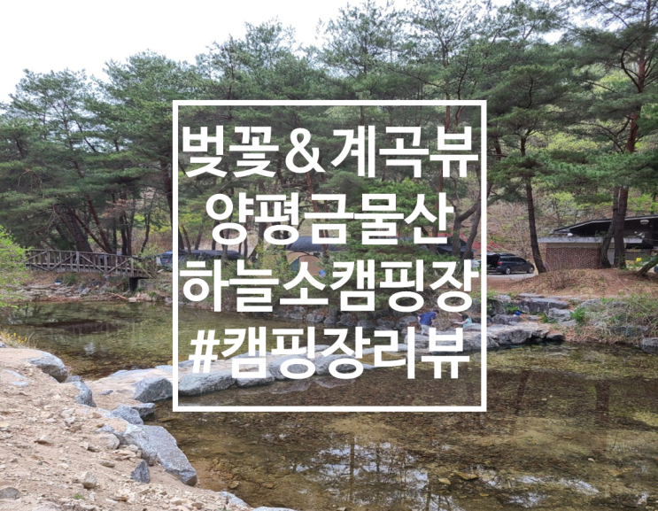  벚꽃&계곡뷰 양평 금물산 하늘소 캠핑장 나비마을 리뷰