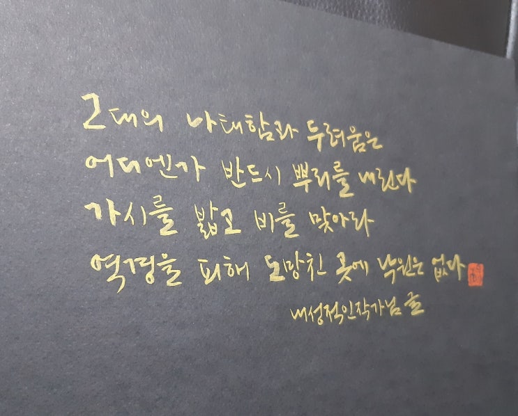  [캘리그라피(붓펜)/좋은글귀/감성글귀] 그대의 나태함과 두려움은...