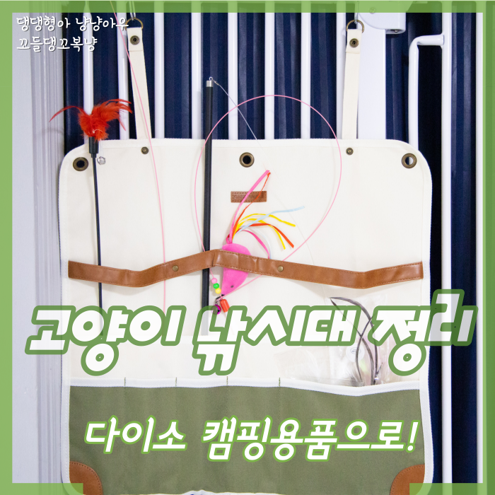  고양이 낚시대 장난감 다이소 캠핑 용품으로 정리해 봤어요