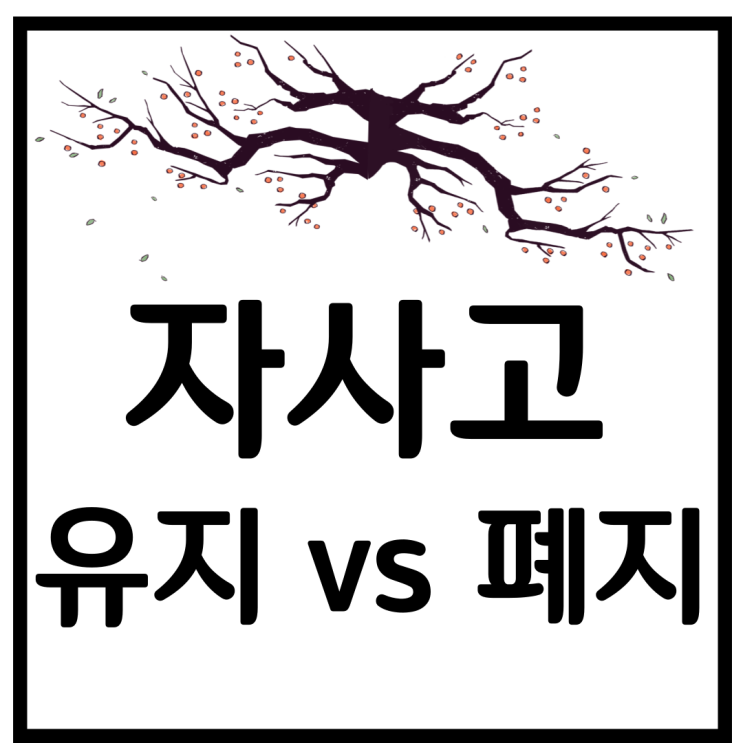  자사고 유지, 정시 확대 - 자사고 장점과 단점