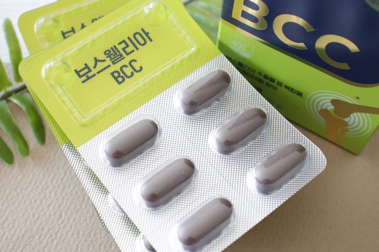  관절에좋은영양제 찾으신다면