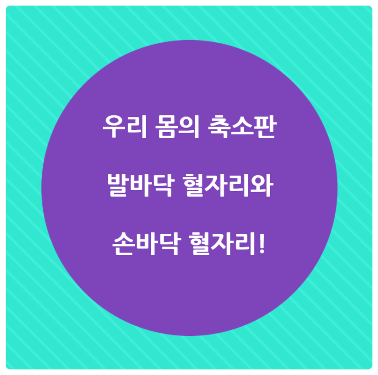  우리 몸의 축소판 발바닥 혈자리와 손바닥 혈자리!