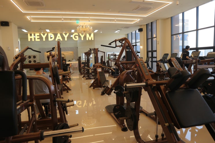  고덕동 헬스장 헤이데이짐 다짐어플로 할인받아 다니기!