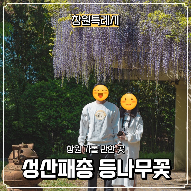  [창원특례시] 창원에서 즐기는 등나무꽃, 성산패총