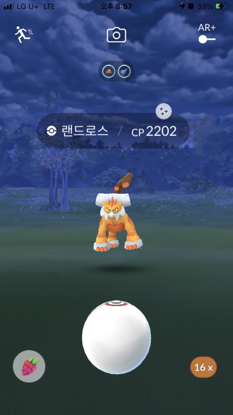  랜드로스 이로치