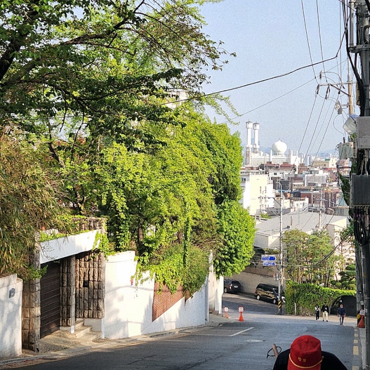  4월 셋째주 일상먹고 먹고 먹고 보는 일기