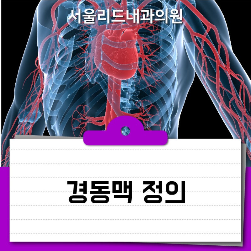 [성남 내과] 급성 심근경색 12