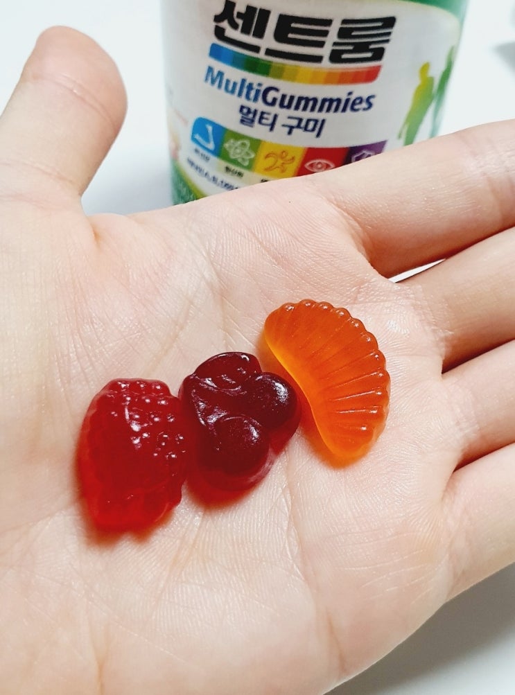  센트룸 멀티구미 쉽고 재밌고 맛있게!