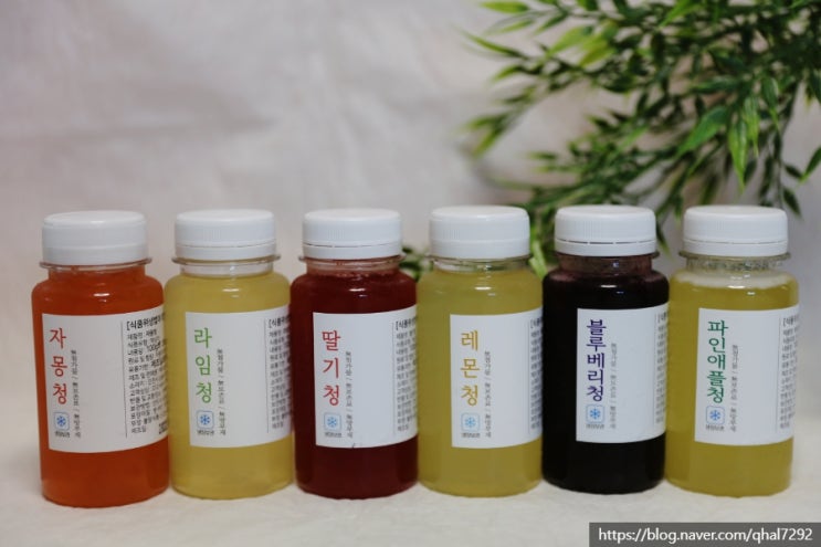  수제청 과일청 맛집 택이네 수제과일청 후기