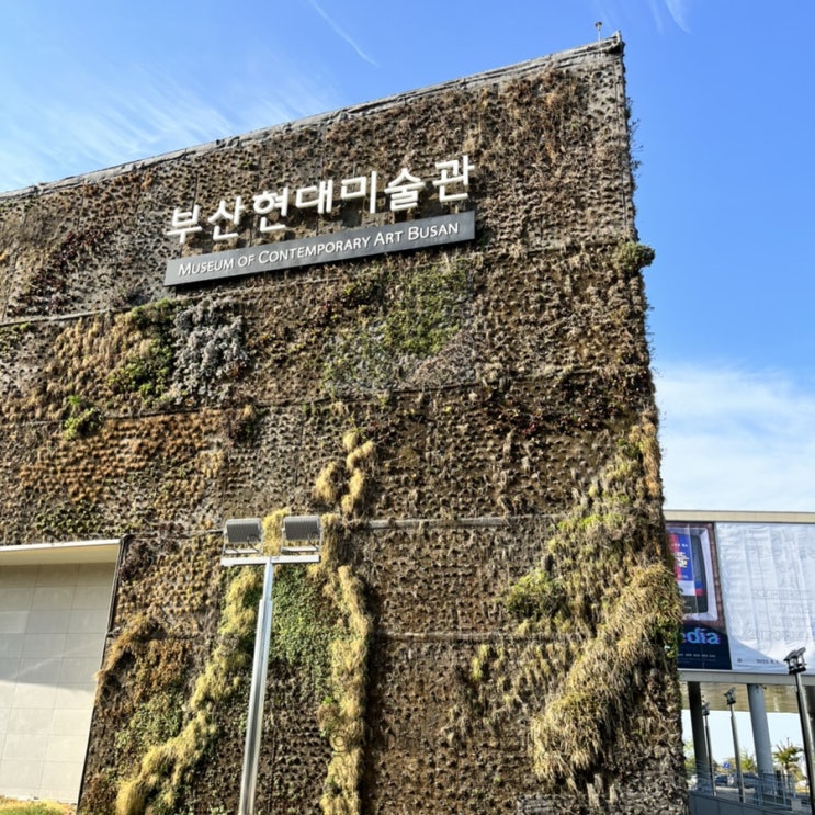  부산 놀거리 :: 데이트코스로 다녀온 부산현대미술관 을숙도철새공원 일몰