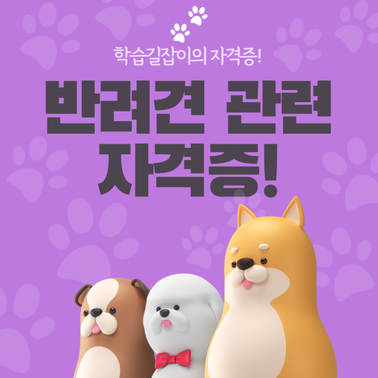 반려견 관련 자격증 종류 반려견 국가 자격증 반려견 관련 취업 반려견 관련 자격증 종류 반려견 국가 자격증 반려견 관련 취업