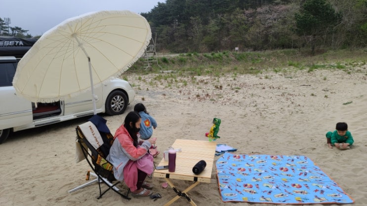  캠핑파라솔 메이튼 레드와일드 1분설치 대형 감성 파라솔
