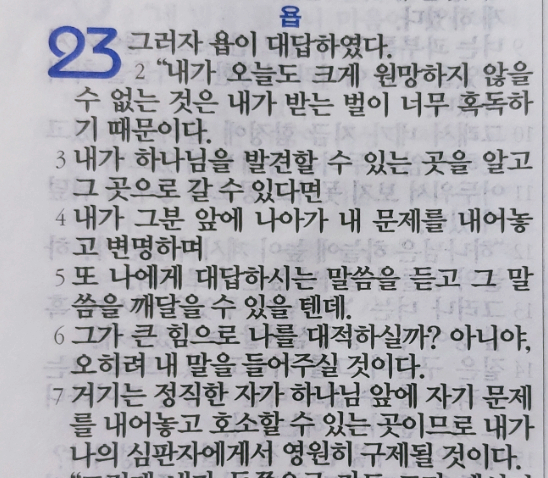 욥의 시련(욥기) 23장