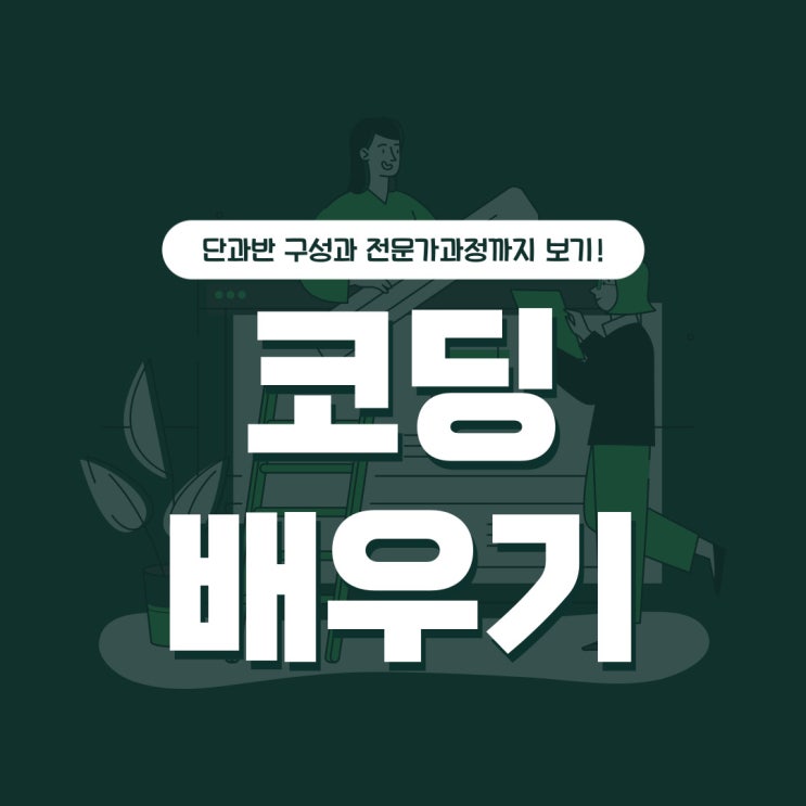 코딩배우기 단과부터 전문가과정까지! 코딩배우기 단과부터 전문가과정까지!