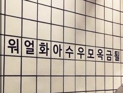  보이는그대로