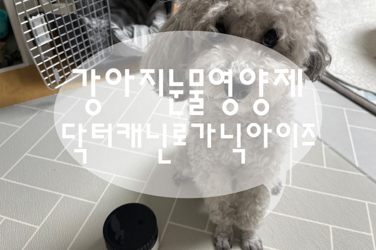  국내최초 유기농인증을 받은 강아지눈물영양제 닥터캐닌 로가닉아이즈