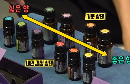  감정오일상담사 자격증반 마음을 위로하는 향기테라피 수업안내입니다.