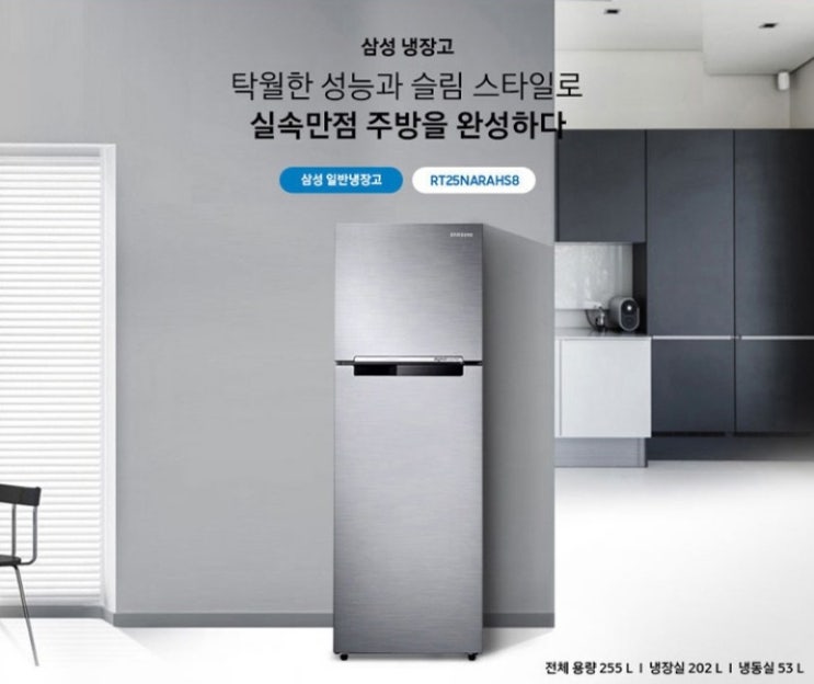  삼성전자 일반형냉장고 RT25NARAHS8 (2도어 냉장고)