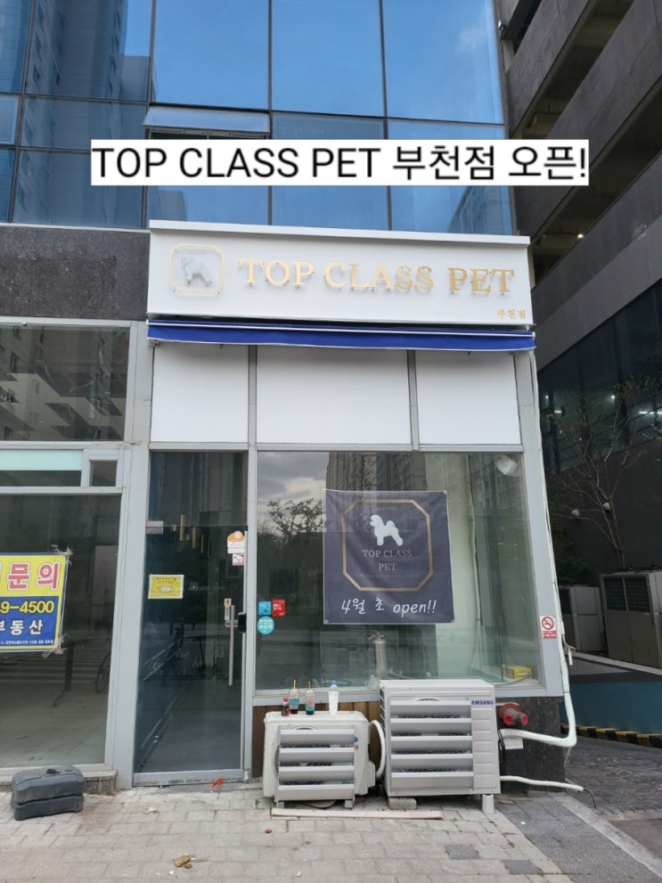  부천강아지분양, 프리미엄 펫샵 탑클래스 부천점 오픈!