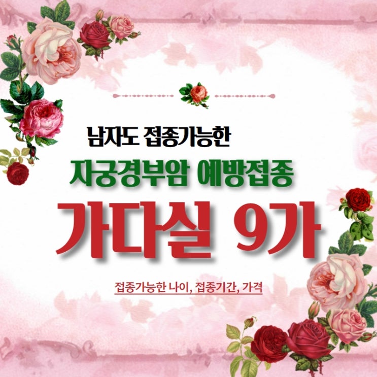 자궁경부암예방접종 남자도 가능한 가다실9가 가격 HPV 인두유종바이러스