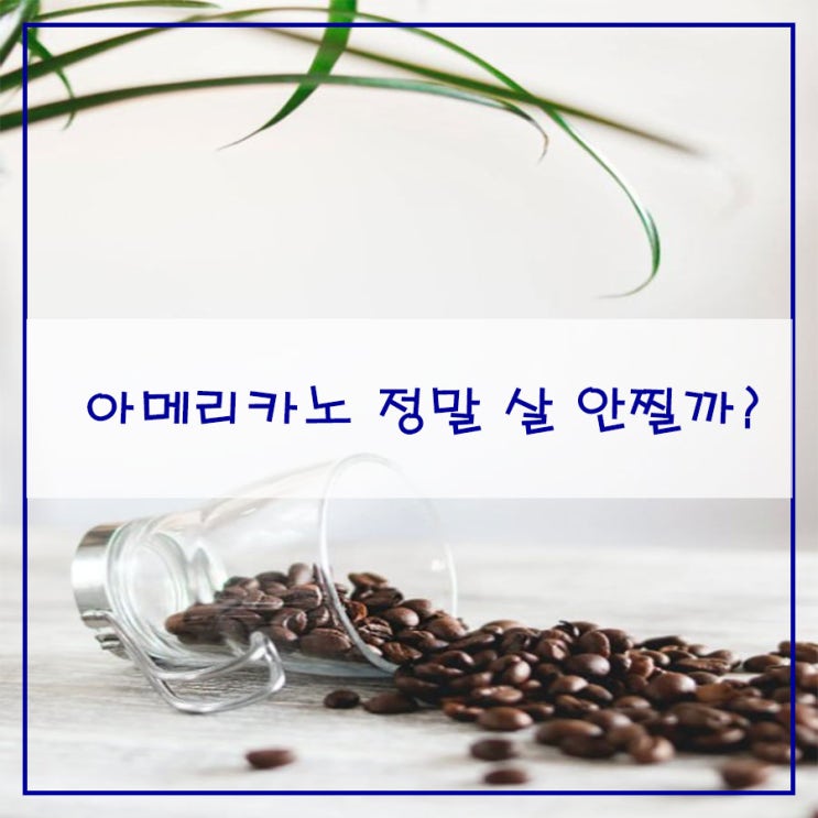  아메리카노, 정말 살 안찔까?