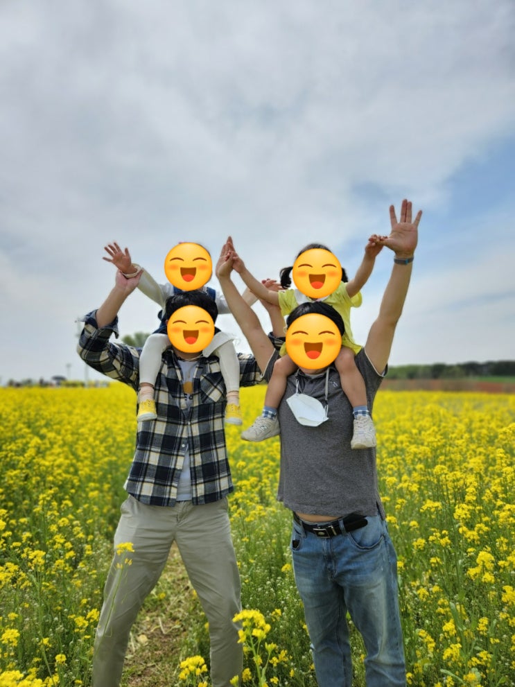  안성팜랜드 4월 유채꽃과 동물을 볼 수 있는 경기도 아이와 가볼만한곳