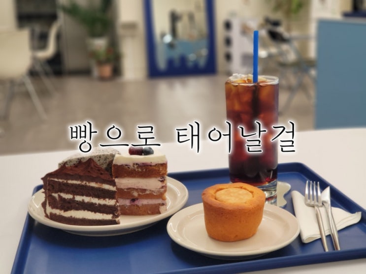 수원 베이커리카페 빵으로 태어날걸 훌륭했던 고등동 카페 수원 베이커리카페 빵으로 태어날걸 훌륭했던 고등동 카페