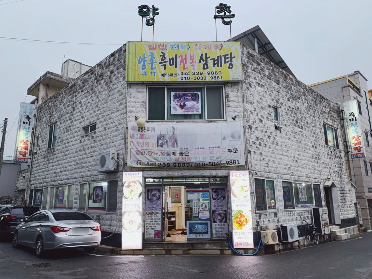 울산 덕신 맛집 남다른 비주얼의 양촌흑미전복삼계탕