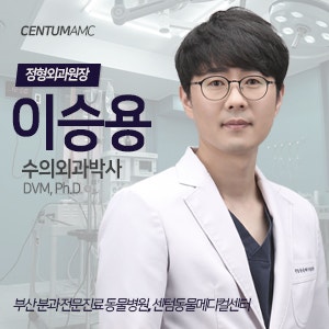 CentumAMC '이승용' 외과원장 (수의외과학 박사) / 수영점 정형외과