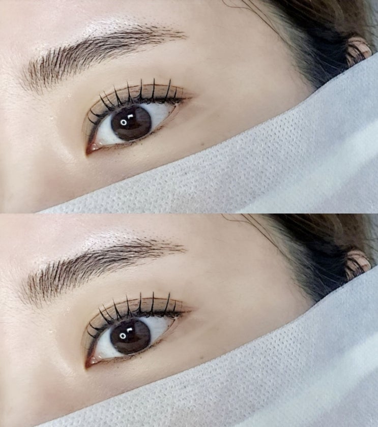  클리오네 셀프속눈썹펌 파마 #결정리 #롯드선택