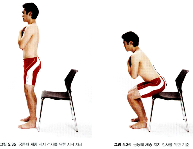 허리골반부UCM 허리뼈 굽힘 검사 5편 / 선 자세에서 앉기 검사 : 궁둥뼈 체중 지지 검사