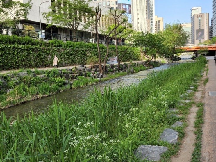  토지수용보상 현실과 문제점(2) / 행정사 추대식