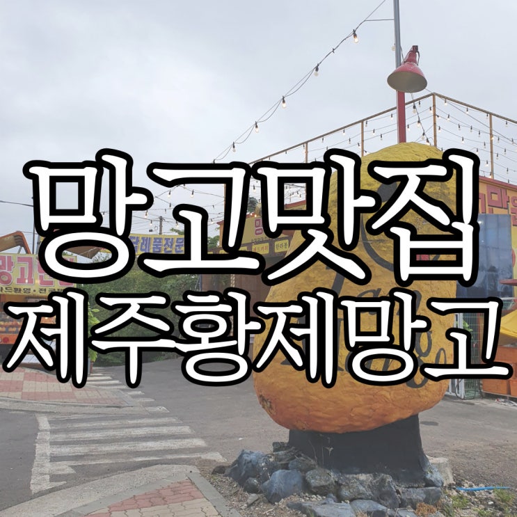  제주황제망고 찐 단골이 쓰는 내돈내산 후기