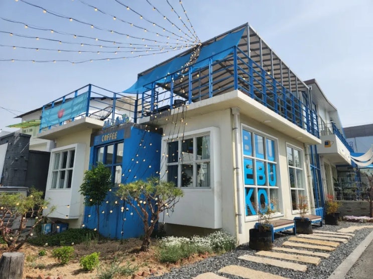  대전의 새로운 핫플 소제동 카페 블루부코, 국내 최고의 코코넛 파이와 쉐이크를 맛볼 수 있는 곳