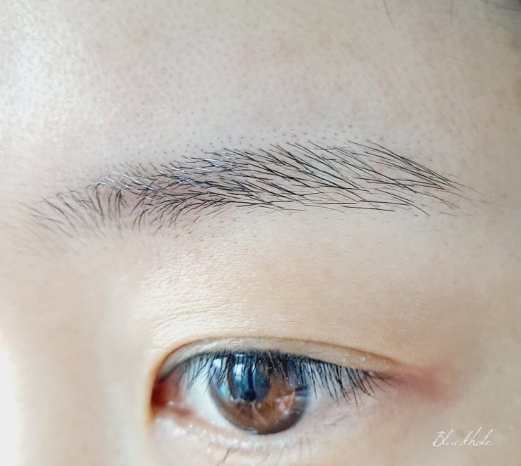  여자 눈썹 정리 및 다듬기 방법 나만 몰랐어.?!