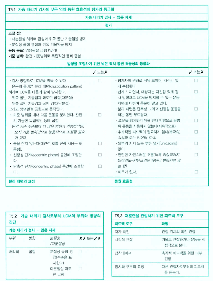  허리골반부UCM 허리뼈 굽힘 검사 4편 / 앉은자세에서 가슴 내리기 검사
