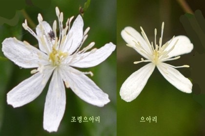 문경시청(문경자연생태박물관) 이미지