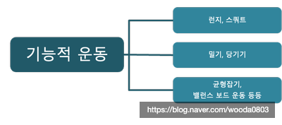  [신반포 PT] 만성 허리 통증! 운동제어(Motor Control)가 답이다! (3탄)