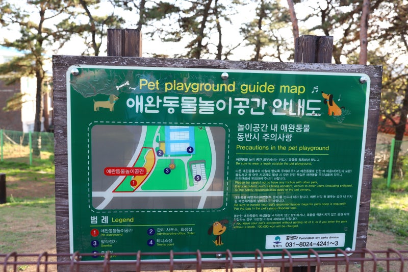 사진 4