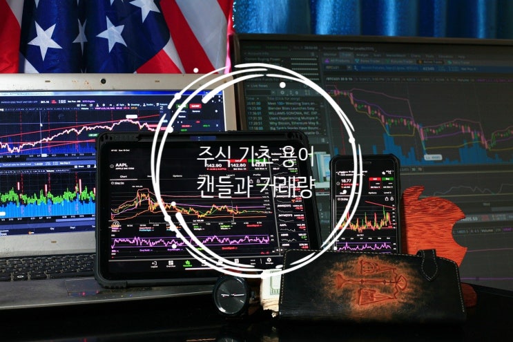  주식 기초 용어 정리 :: 차트에 기본 주가의 흐름을 나타내는 캔들과 거래량(feat. 수익 날 확률 올려주는 꿀tip)