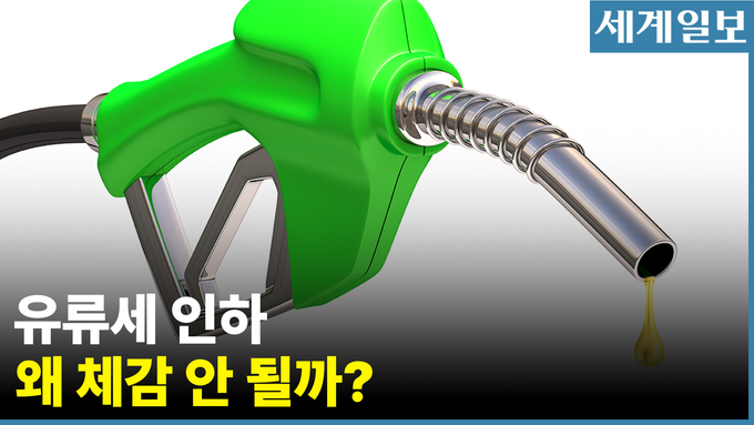 유류세 인하 왜 체감 안될까...“정유사·주유소 탓” VS “억울한 측면 있어” 유류세 인하 왜 체감 안될까...“정유사·주유소 탓” VS “억울한 측면 있어”