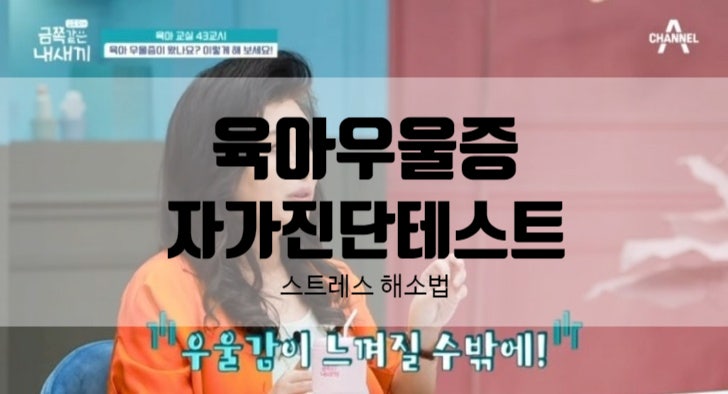  육아우울증 자가진단 테스트 육아스트레스해소법 오은영박사